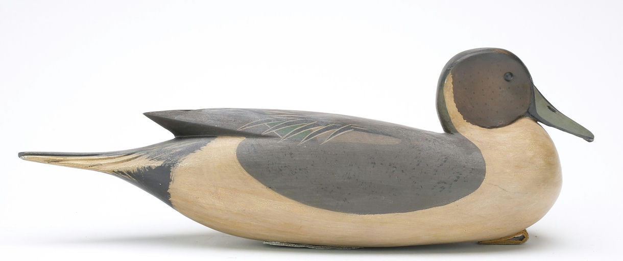 Bob White – Pintail – 2024