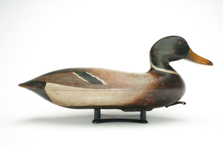 John Blair, Sr. — Mallard