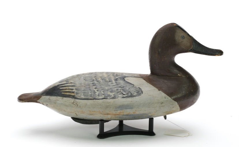 William Heverin – Canvasback Hen – 2024