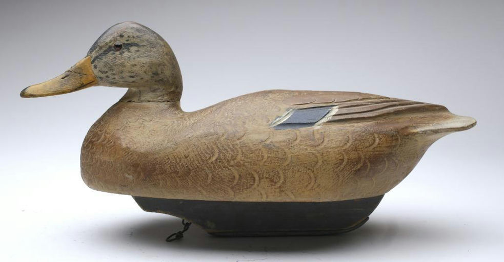 Ben Schmidt – Mallard Hen – 2023