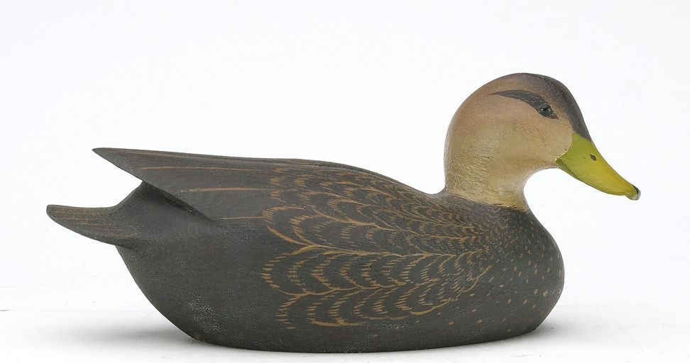 Ward Brothers – Miniature Black duck – 2024