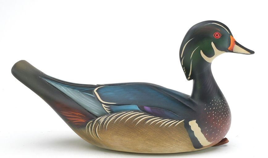 Sean Sutton – Wood Duck – 2024