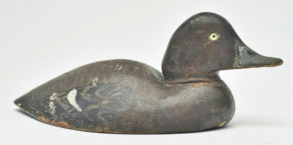 Harvey Stevens – Scaup – 2023