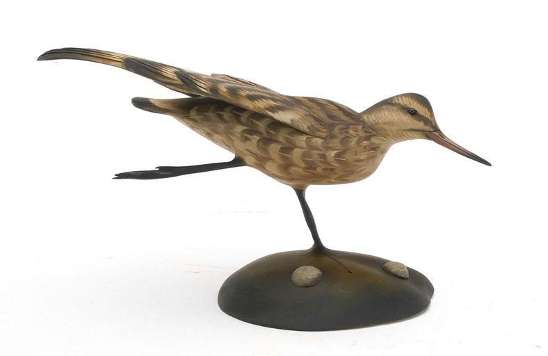 Sean Sutton – Snipe – 2024