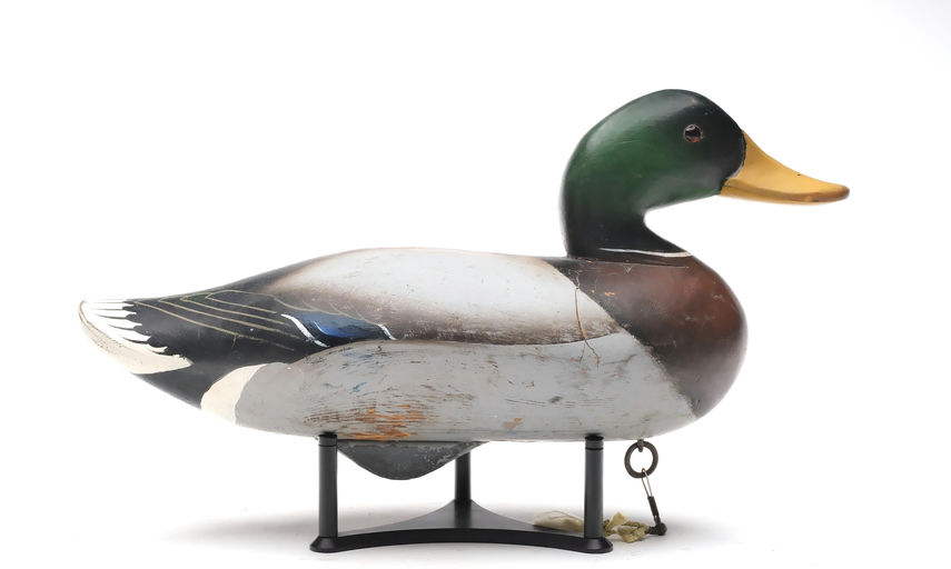 Charlie Joiner – Mallard Drake – 2026