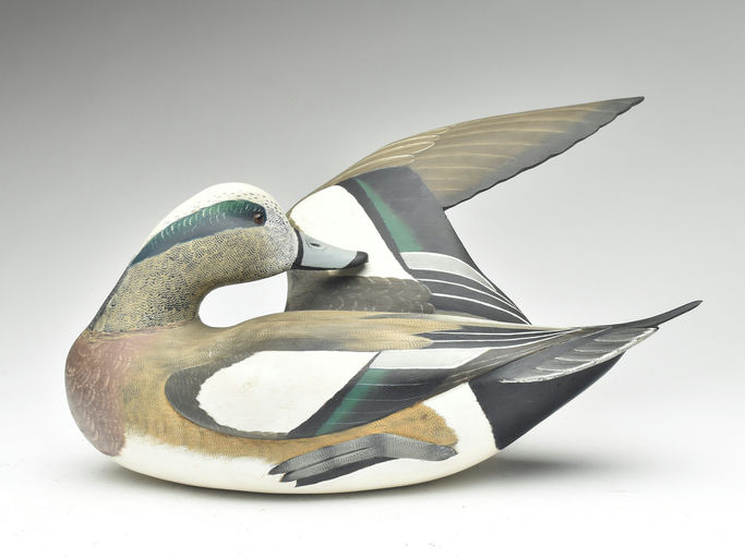 Corb Reed – Wigeon – 2023
