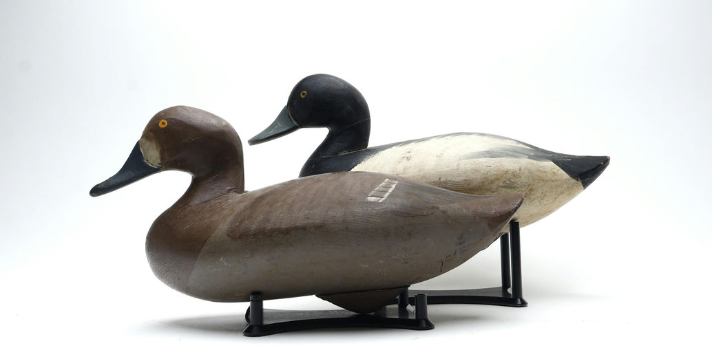 R. Madison Mitchell – Pair of Bluebill – 2026