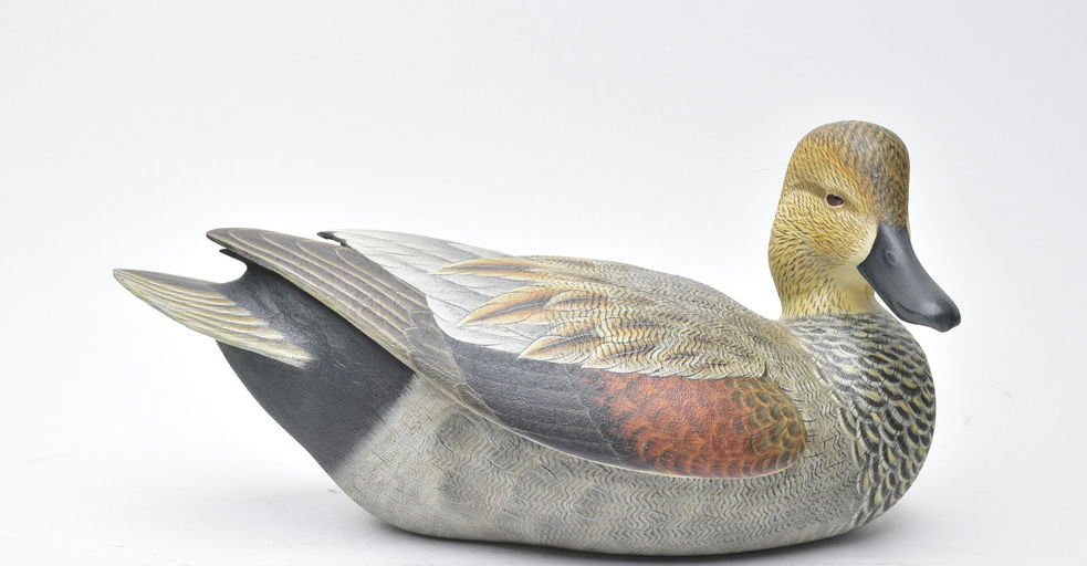 Ben A. Heinemann – Gadwall – 2025