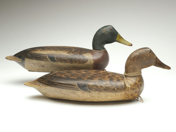Robert Elliston – Pair of Mallard – 2023