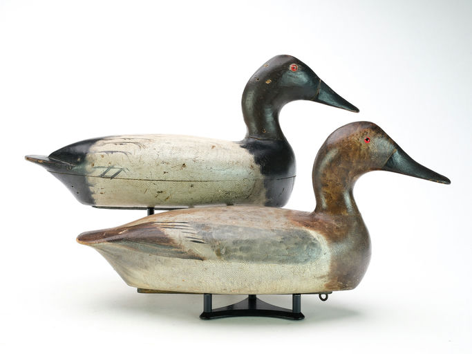 Bert Graves – Canvasback – 2025