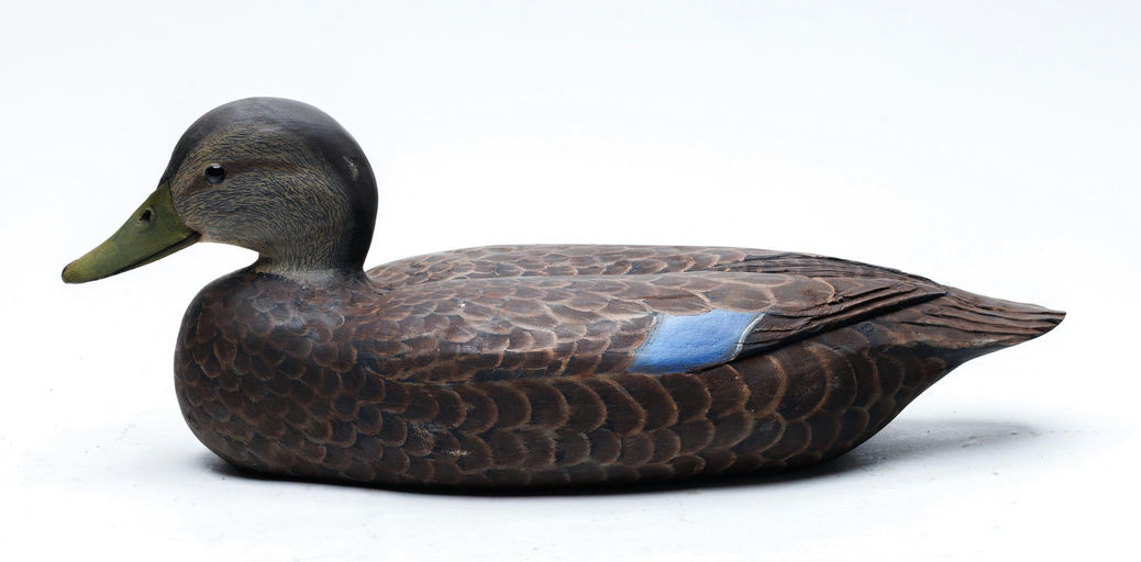 Davison B. Hawthorne – Black Duck – 2026