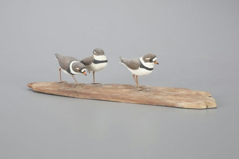 Mark Holland – Semipalmated Plover Trio – 2023