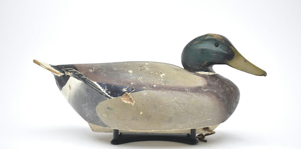 Ward Brothers – Mallard – 2025