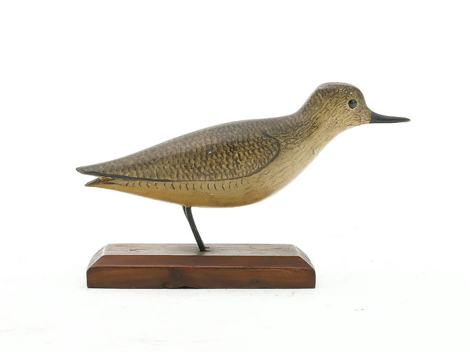 George Boyd – Black Bellied Plover – 2025