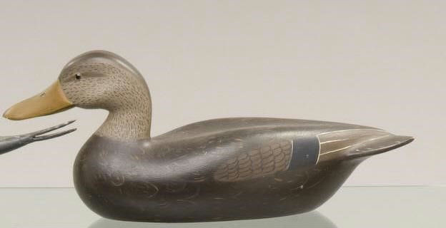 Robert Weeks – Black Duck – 2009