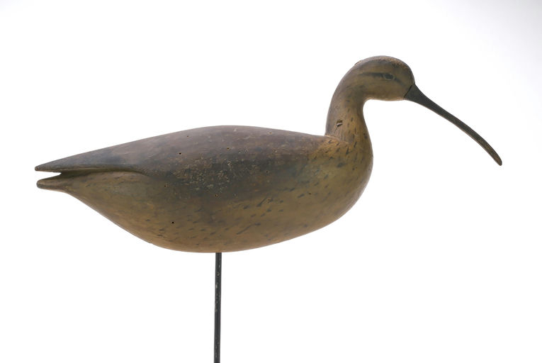 Cameron McIntyre – Curlew – 2024