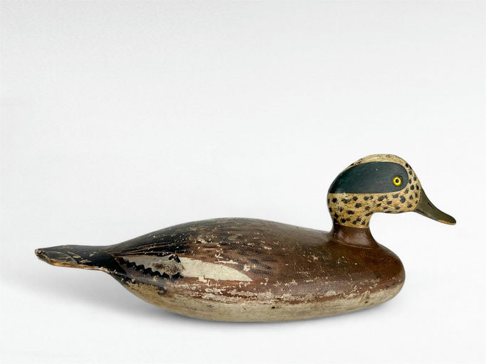Stevens Bros — Wigeon Drake