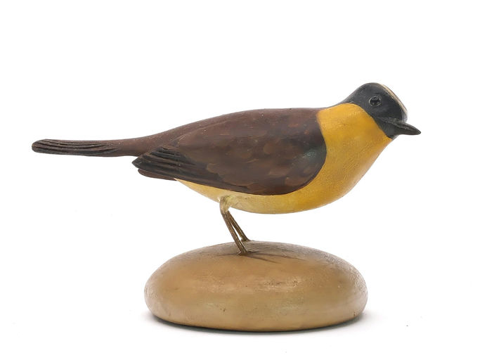 Frank Finney – Common yellow throat – 2025