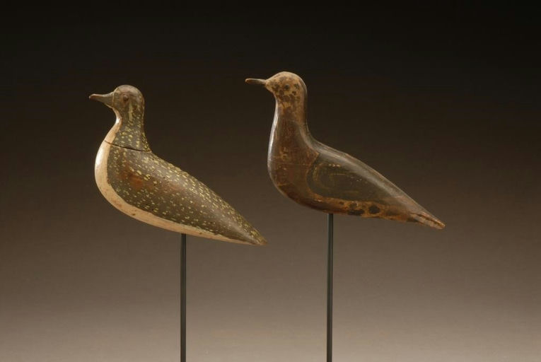 Mr. Harris – Golden Plover – 2008