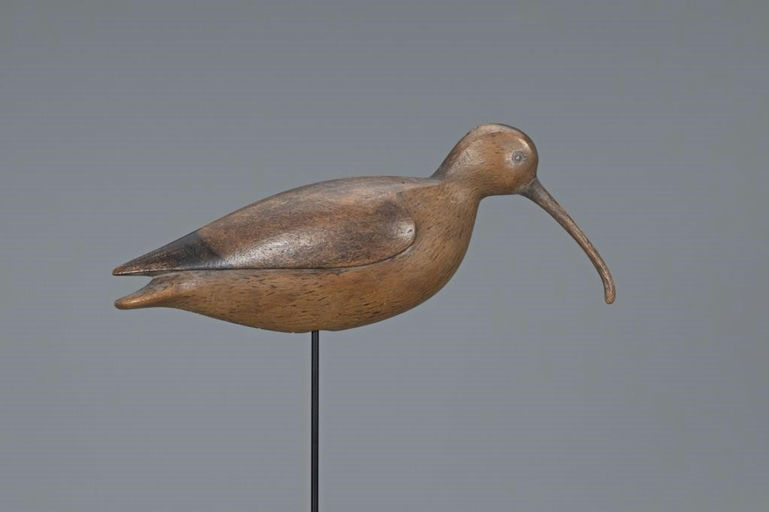 Ian McNair – Curlew – 2019