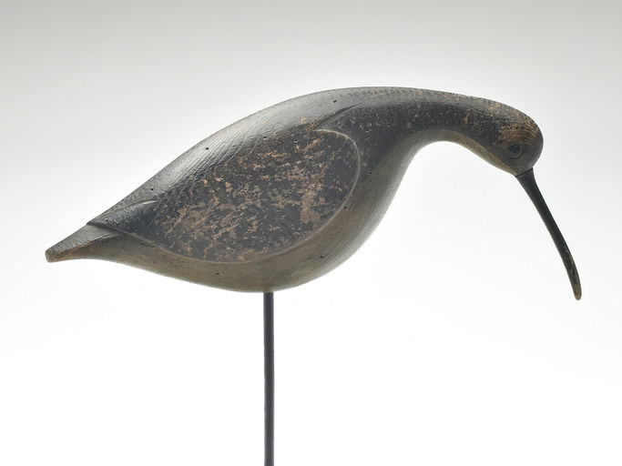 Cameron McIntyre – Curlew – 2023