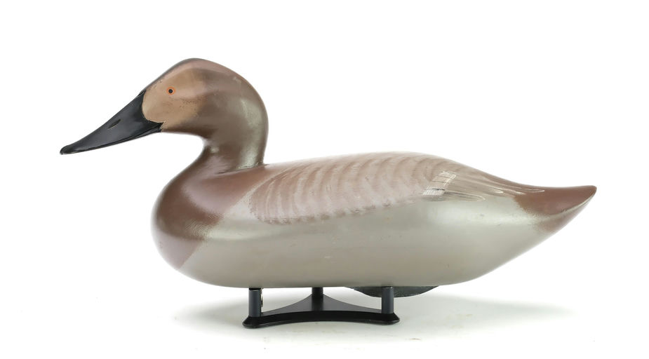 R. Madison Mitchell – Canvasback Hen – 2025