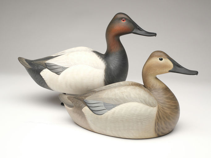 Josh Brewer – Canvasback – 2023