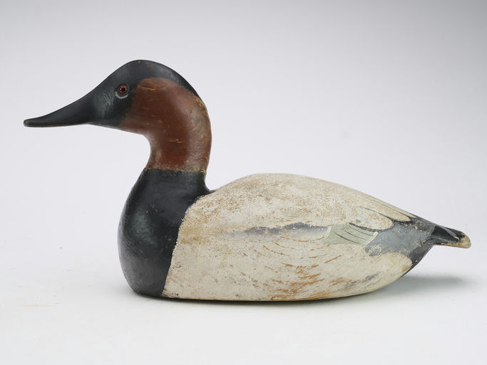 Ward Brothers – Canvasback – 2024