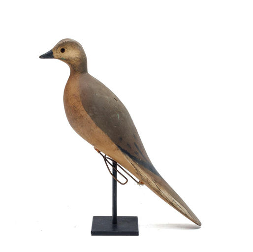 William Purnell Jr. – Dove – 2026