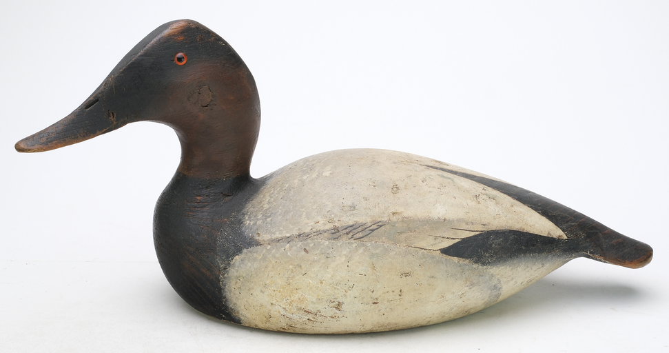 Ward Brothers – Canvasback – 2025