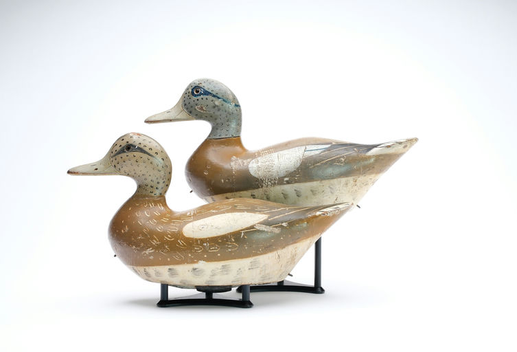 Charles Bergman – Wigeon – 2025