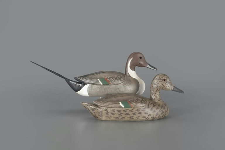 Leo Tocchini – Pintail Pair – 2024