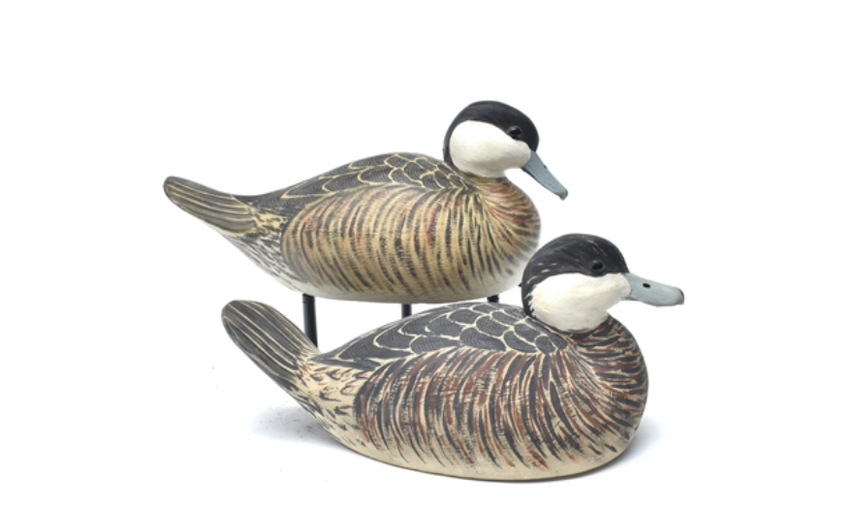 Grayson Chesser – Two Ruddy Ducks – 2022