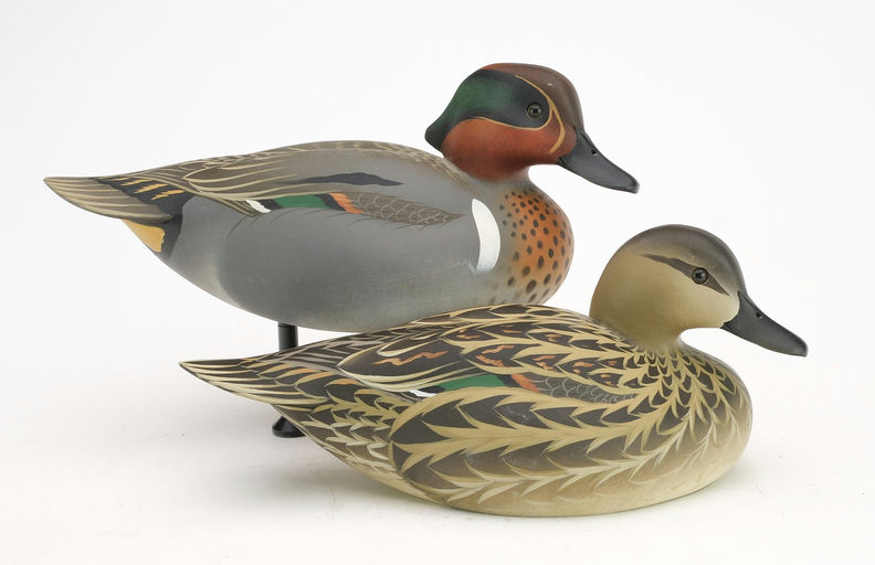Oliver Lawson – Pair of Green-winged Teal – 2024