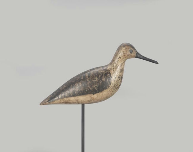 Harry V. Shourds – Yellowlegs – 2022