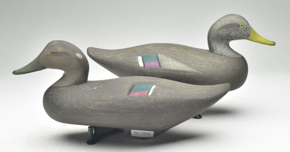 R. Madison Mitchell – Pair of Black Ducks – 2023