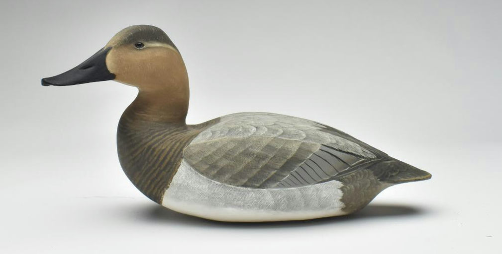Corb Reed – Canvasback – 2023