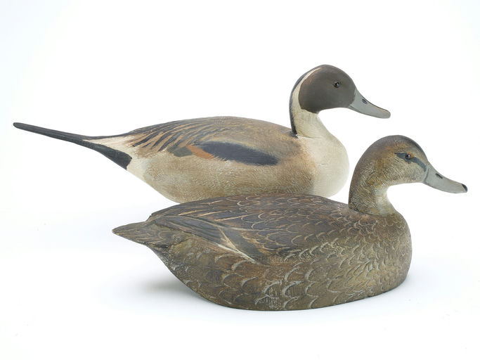 Ben Schmidt – Pair of Pintail – 2024