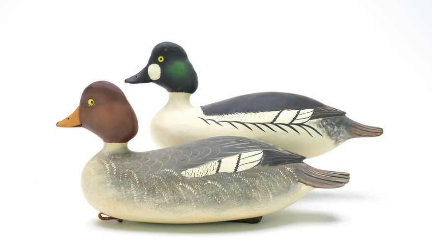 Bob White – Pair of Goldeneye – 2025