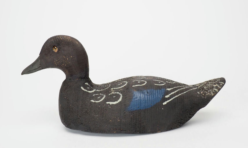 Victor Animal Trap Company — Black Duck