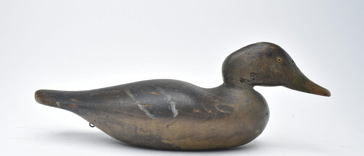 Dodge Factory – Mallard – 2025