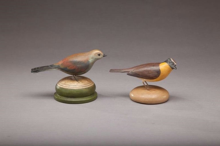 Frank Finney – Yellow-Throated Warbler and Racket-Tailed Roller – 2011