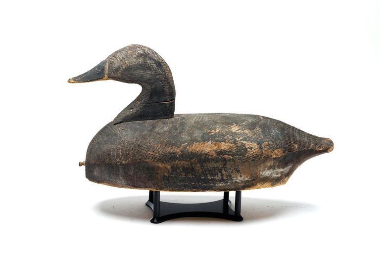 Wilton Walker – Canvasback – 2026