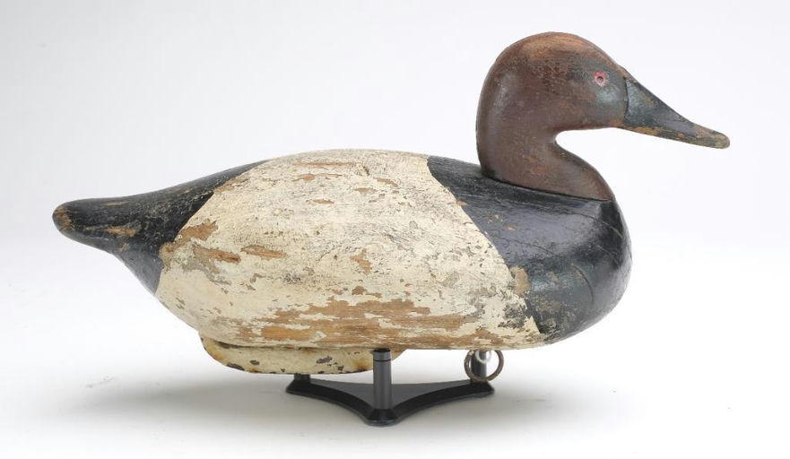 John Daddy Holly – Canvasback – 2023