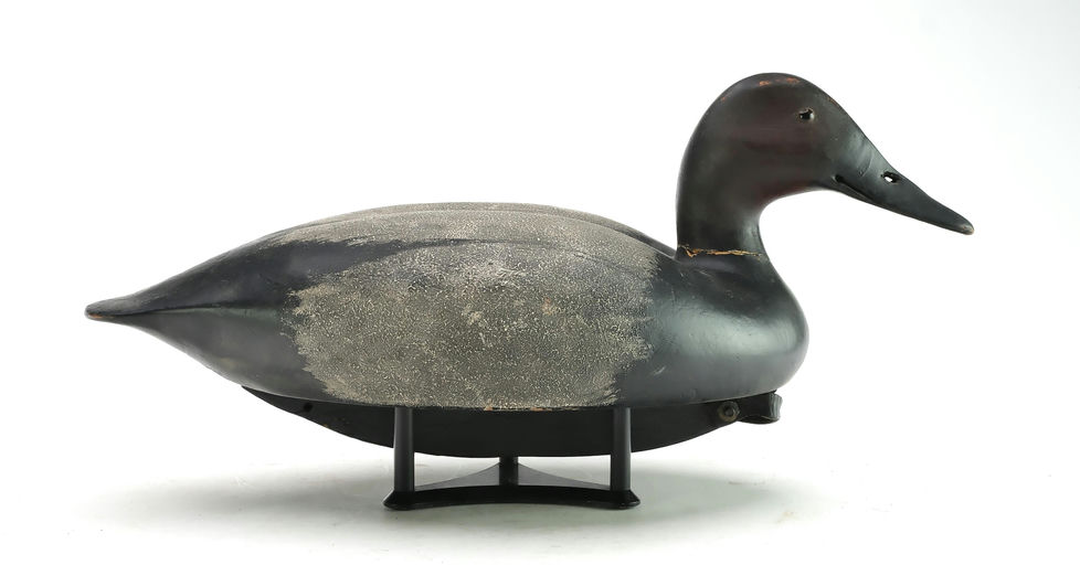 Bob White – Canvasback – 2025
