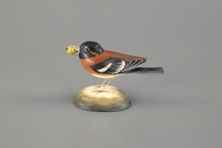 Frank Finney – Black-Headed Grosbeak – 2025