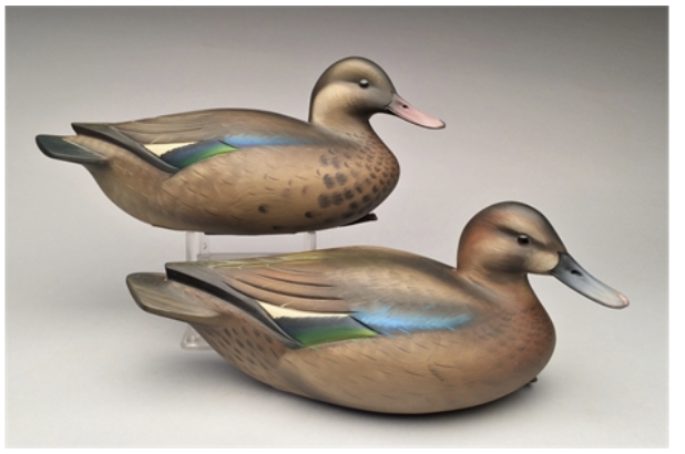 Sean Sutton – Exceedingly Rare Pair of Brazilian Teal – 2017