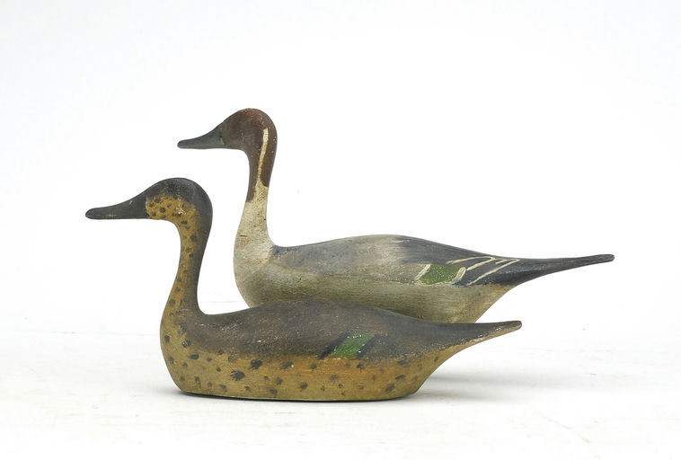 Reggie Birch – Pintail – 2024