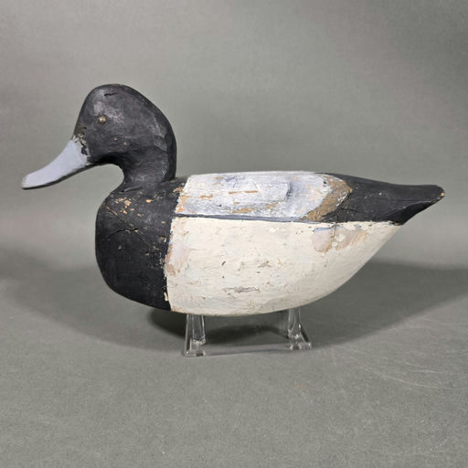 Miles Hancock – Scaup – 2026