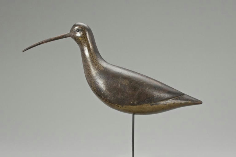 Thomas Gelston – Long-Billed Curlew – 2018